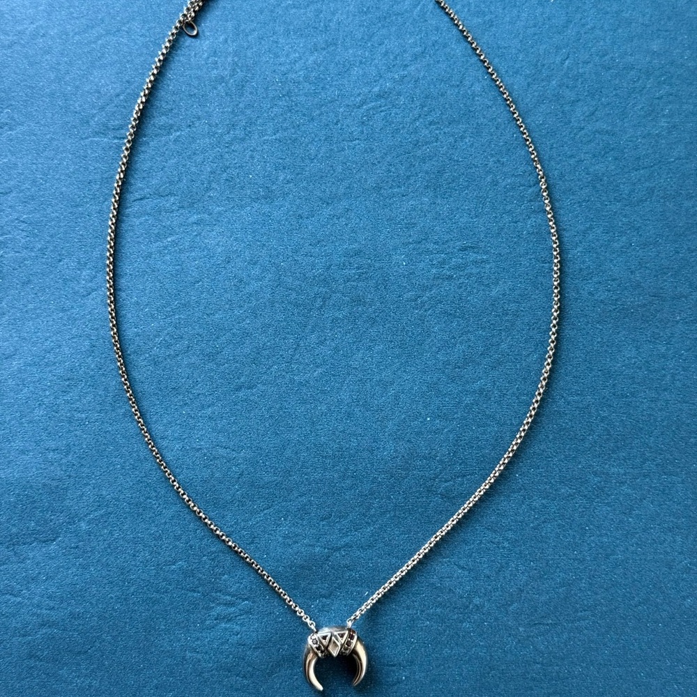 Elegant Silver Crescent Necklace